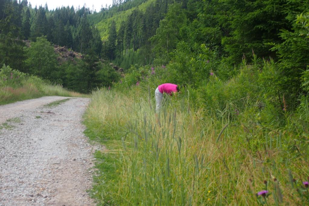 Horehronska Kuria Telgárt Exteriér fotografie